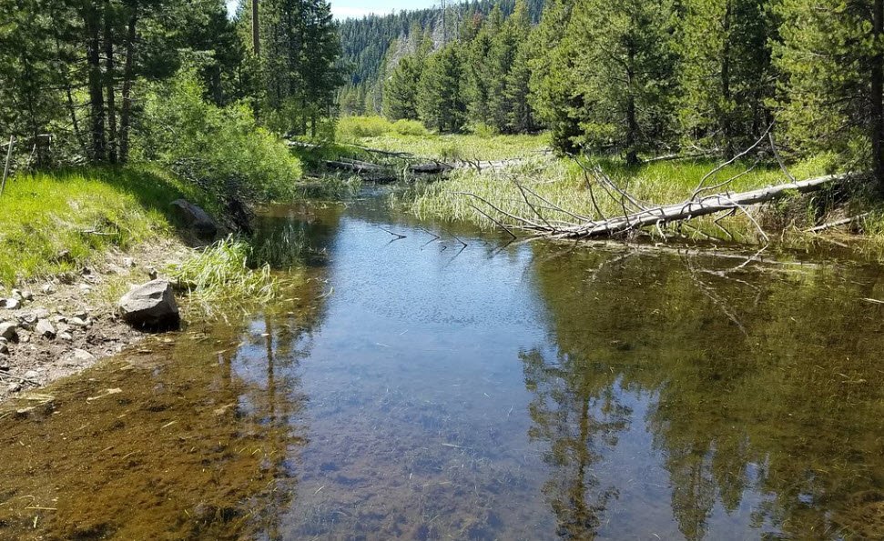 Burton Creek State Park, California, USA